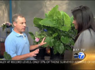 Click here to view video.