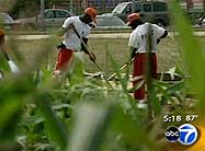 Click here to view Boot Camp video.