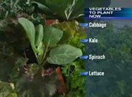 Click here to view video.