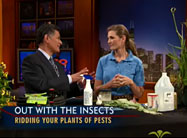 Click here to view video.