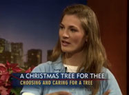 Click here to view video.