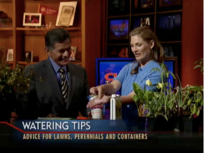 View Eliza's watering tips on Chicago Tonight.