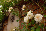 PHOTO: the English Walled Garden