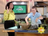 Click here to view video.