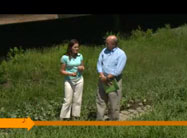 Click here to view video.