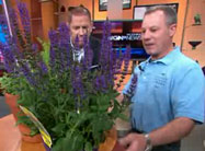 Click here to view video.