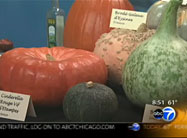 Click here to view video.