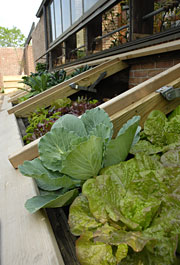 The Crescent Garden
