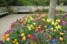 The Crescent Garden