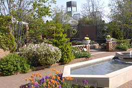 The Buehler Enabling Garden