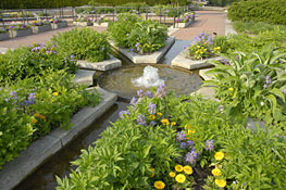 The Heritage Garden