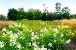 The Japanese Garden