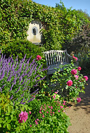 The Buehler Enabling Garden