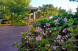 The Heritage Garden