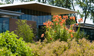 Prairie Science Thrives at the Chicago Botanic Garden