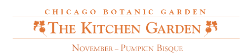 November: Pumpkin Bisque
