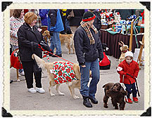 PHOTO: reindog