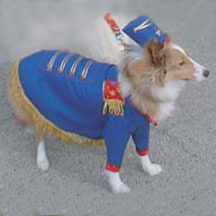 PHOTO: reindog