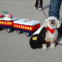 PHOTO: reindog