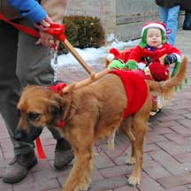 PHOTO: reindog
