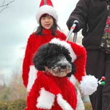 PHOTO: reindog