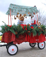 Click here for Reindog and Wonderland Express Tour Package information.
