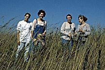 PHOTO: scientists in the tall prairie grass