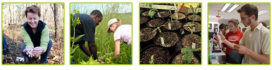PHOTO: scientists working in the field