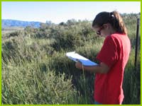 PHOTO: CLM intern collecting data