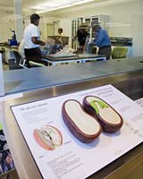 PHOTO: exhibit with seed bank in the back