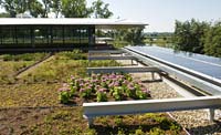 PHOTO: green roof evaluation beds
