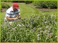PHOTO: plant evaluation
