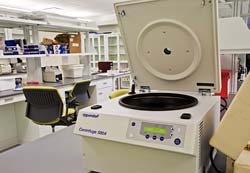 PHOTO: lab equipment