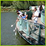 PHOTO: restored lake