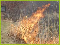 PHOTO: prairie burn