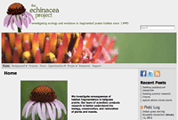 PHOTO: website