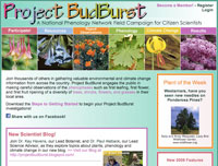 PHOTO: website snapshot