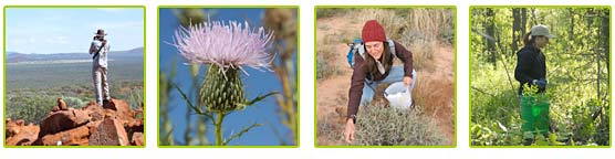 PHOTO: scientists working in the field