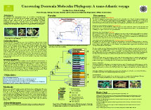PHOTO: poster snapshot