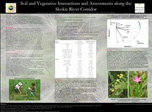 PHOTO: poster snapshot