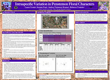 PHOTO: poster snapshot