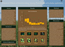 PHOTO: poster snapshot