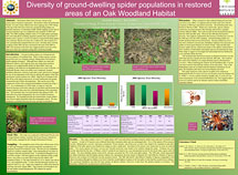 PHOTO: poster snapshot