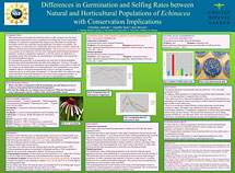 PHOTO: poster snapshot