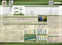 PHOTO: poster snapshot