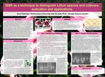 PHOTO: poster snapshot
