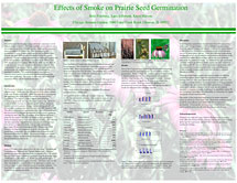 PHOTO: poster snapshot