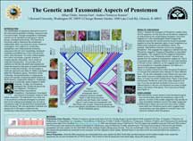 PHOTO: poster snapshot