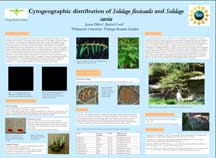 PHOTO: poster snapshot