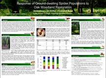 PHOTO: poster snapshot